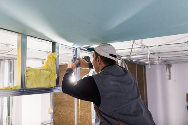 Best Insulation Contractor Near Me  in Steele, MO