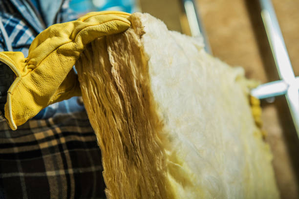 Best Crawl Space Insulation  in Steele, MO