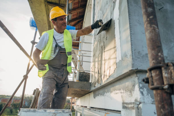 Best Local Insulation Services  in Steele, MO