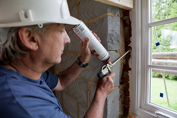 Best Insulation Inspection Services  in Steele, MO