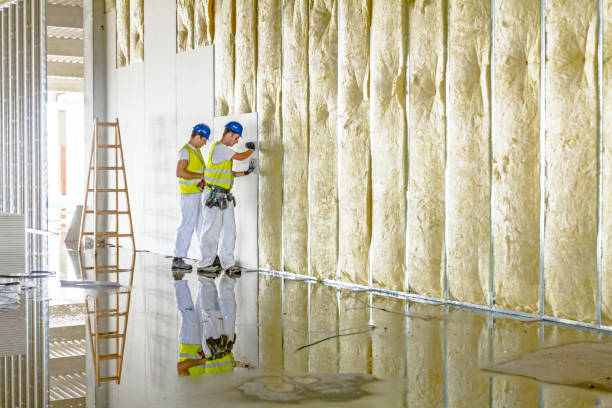 Best Insulation Repair Services  in Steele, MO
